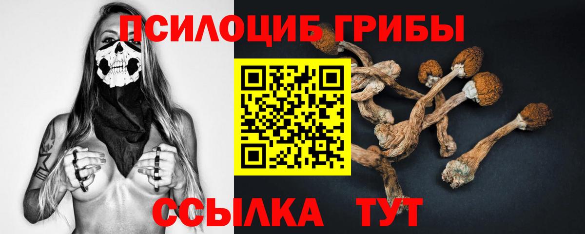Галлюциногенные грибы MAGIC MUSHROOMS  Вход с VPN  Галлюциногенные грибы мицелий  продажа наркотиков  Богородицк 